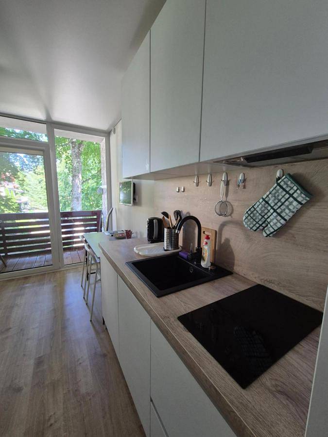 Geheel appartement, Sunrise Apartments 9 in Juodkrantė, Koerse Schoorwal