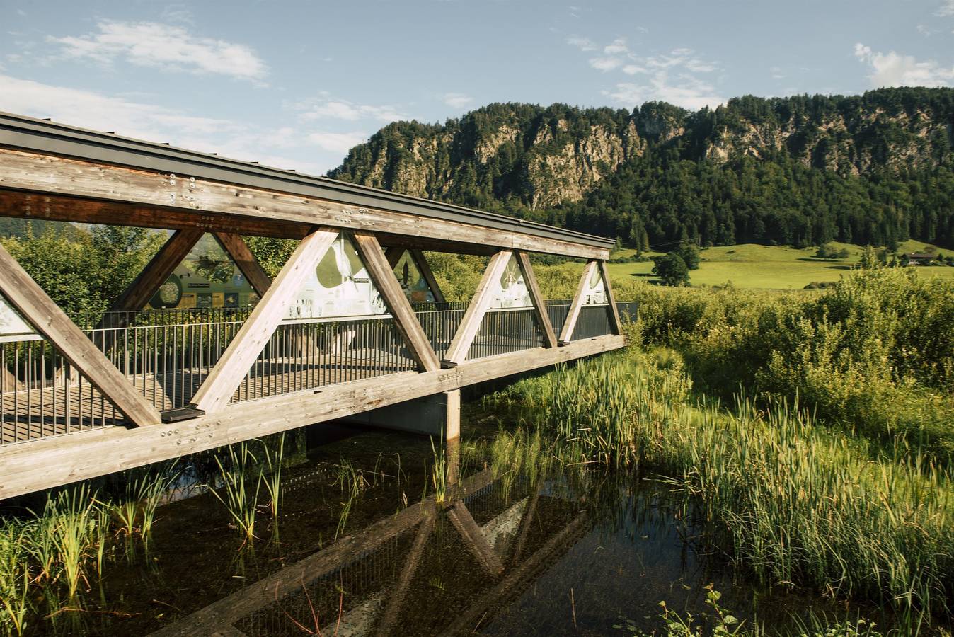 Geheel vakantieappartement, Appartement, douche, Wc, 1 slaapkamer in Walchsee, Kufstein (stad)