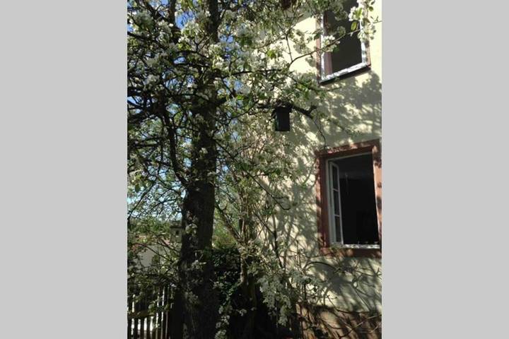 Ferienhaus für 10 Personen, mit Garten, mit Haustier im Spessart - 3