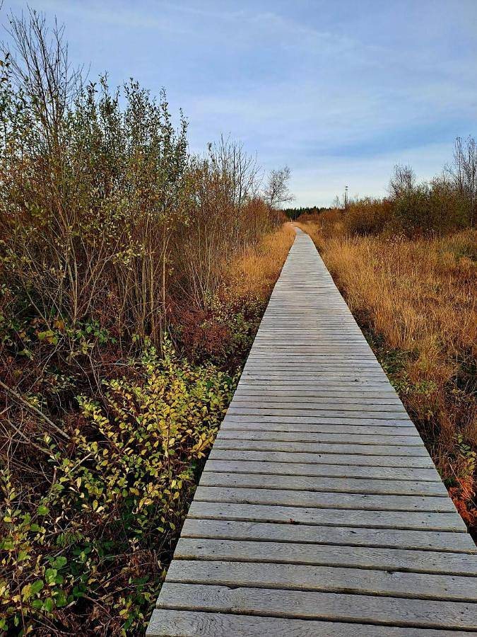 Maison d’hôte pour 2 personnes, avec terrasse à Malmedy - 4