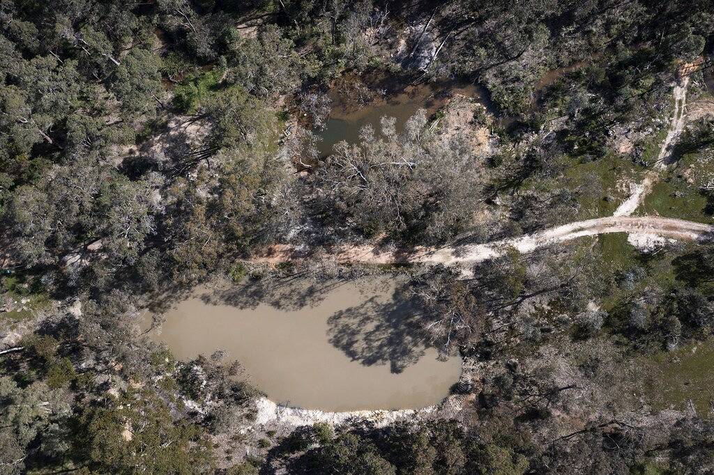 Bush Escape: Panoramic Views + Large Dog Enclosure in Perth, Western Australia