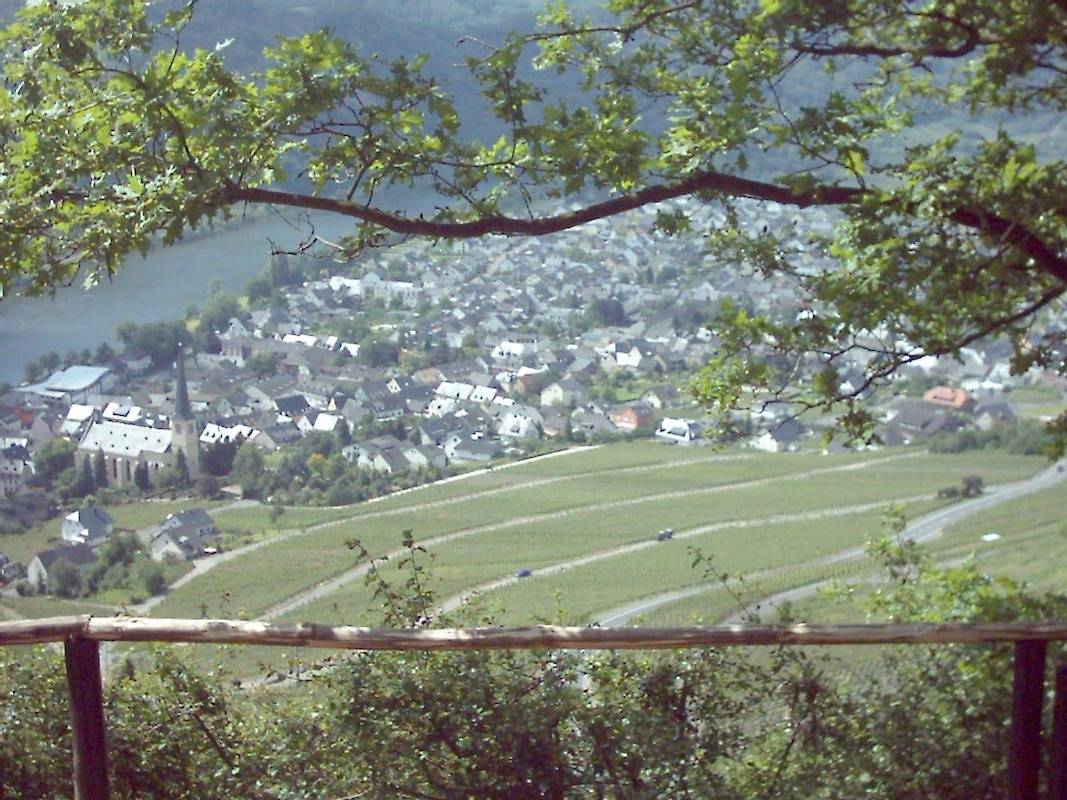 2-Bettwohnung Fewo (oben) in Kröv, Bernkastel-Kues & Umgebung