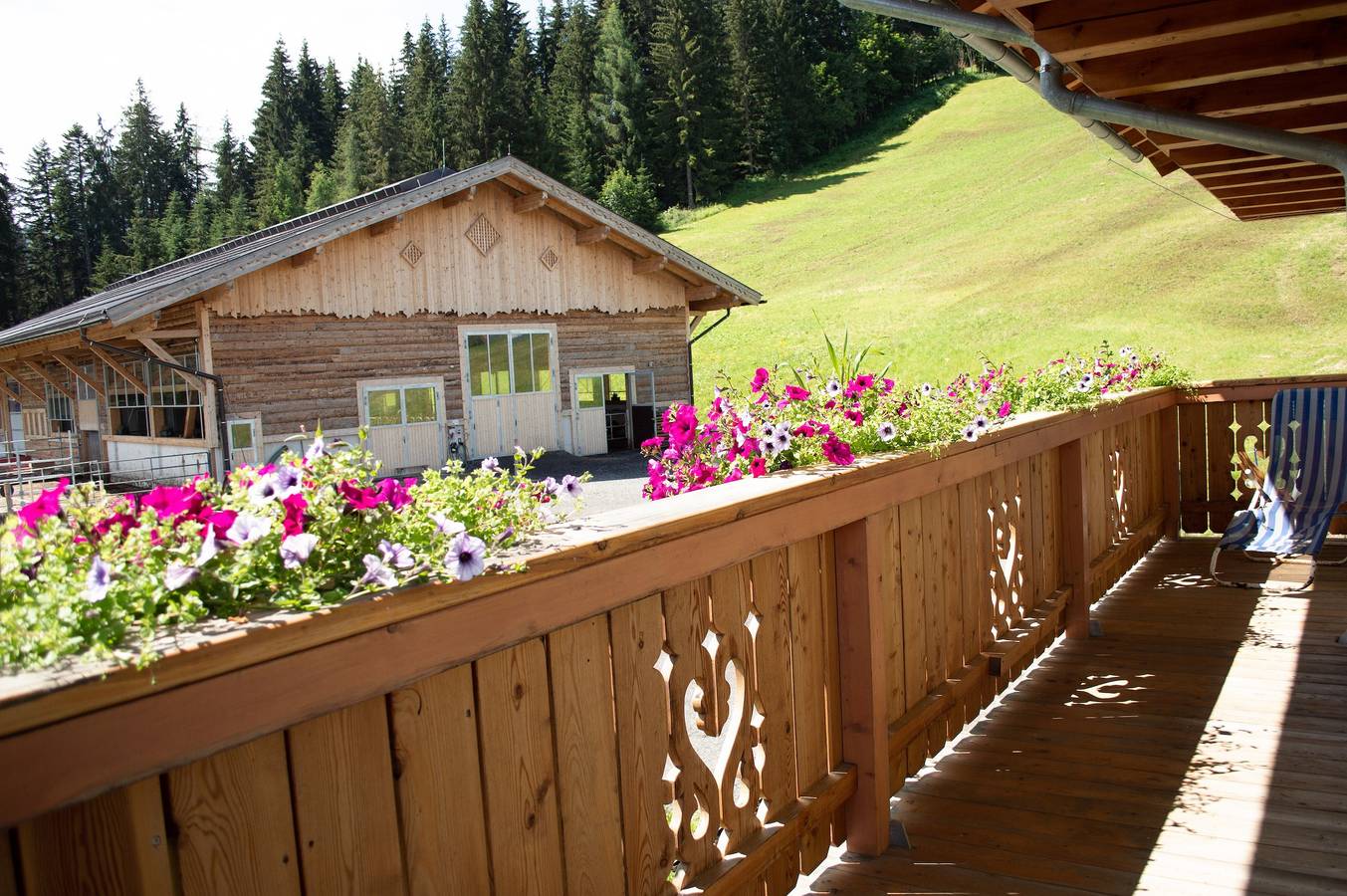 Ganze Wohnung, Ferienwohnung 'Enzian' mit gemeinsamer Terrasse, Balkon und Wlan in Wagrain, Ski Amadé