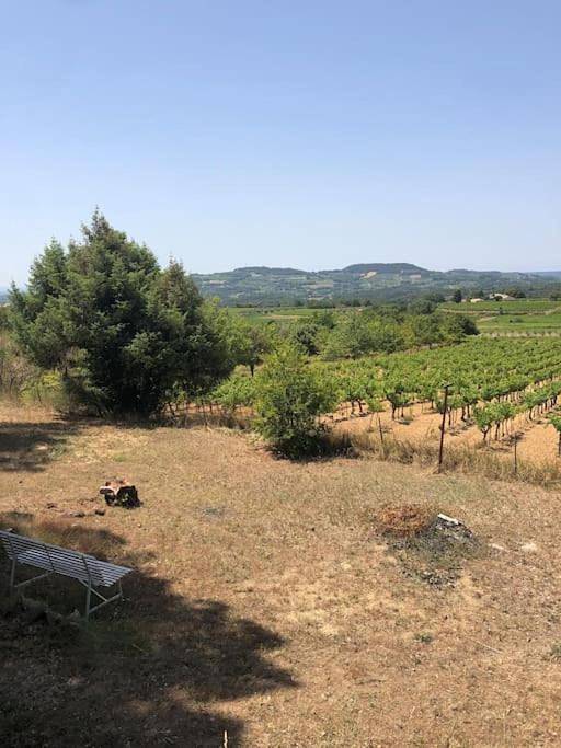 Location de vacances pour 4 personnes, avec terrasse et vue à Puyméras - 3