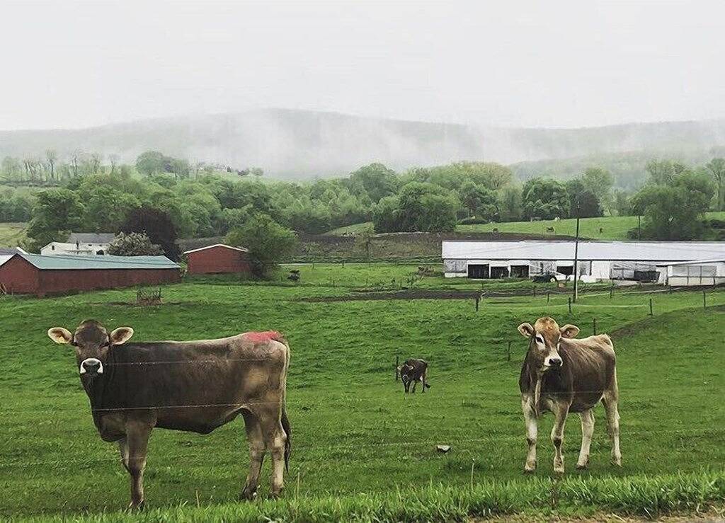 Ganze Wohnung, Modern Copake Falls Getaway in Columbia County