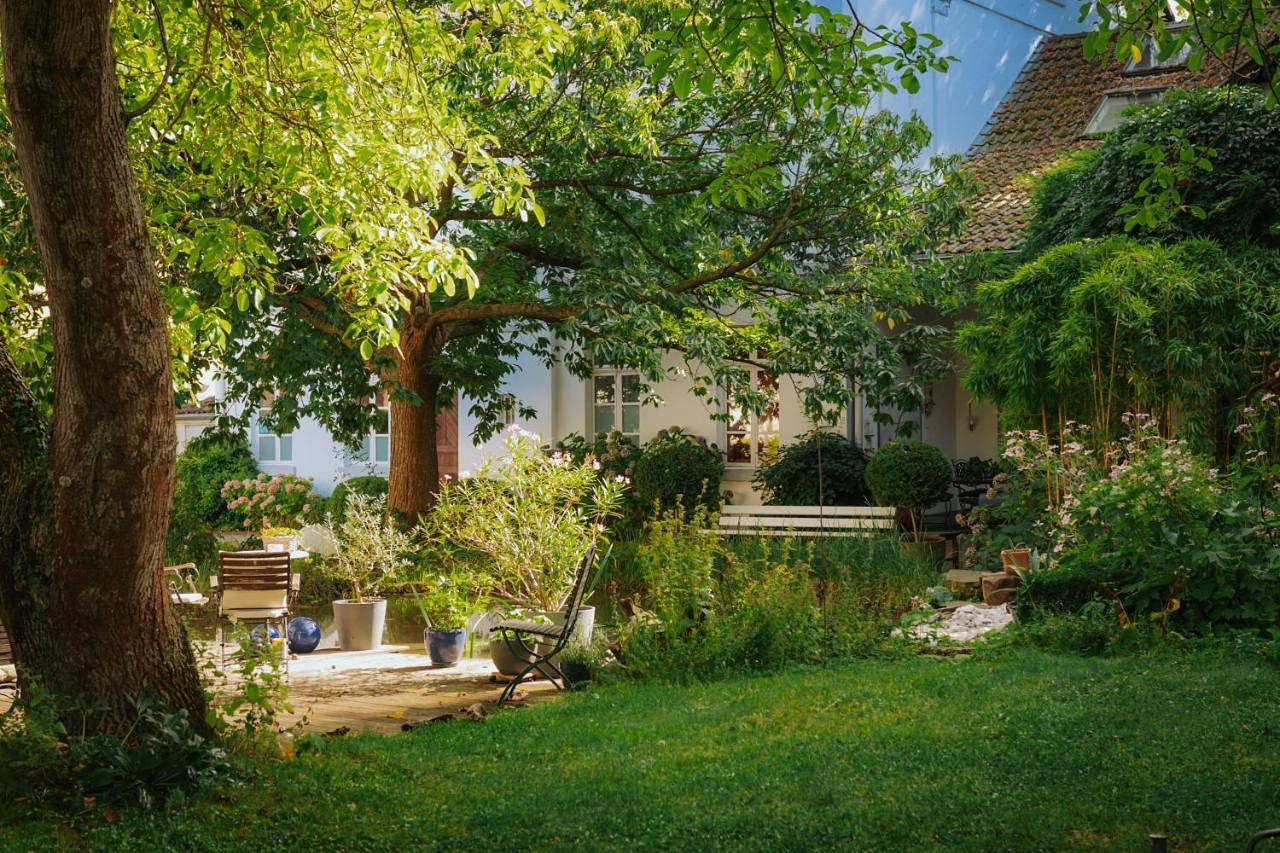 Single Room in Meckenheim, Rhein-Sieg-Kreis
