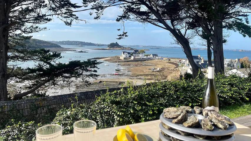 Location de vacances pour 8 personnes, avec jardin dans Térénez