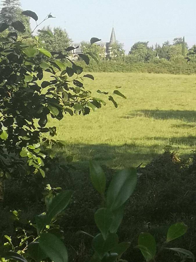 Gîte pour 2 personnes, avec jardin et vue à Saint-Sulpice-et-Cameyrac - 2