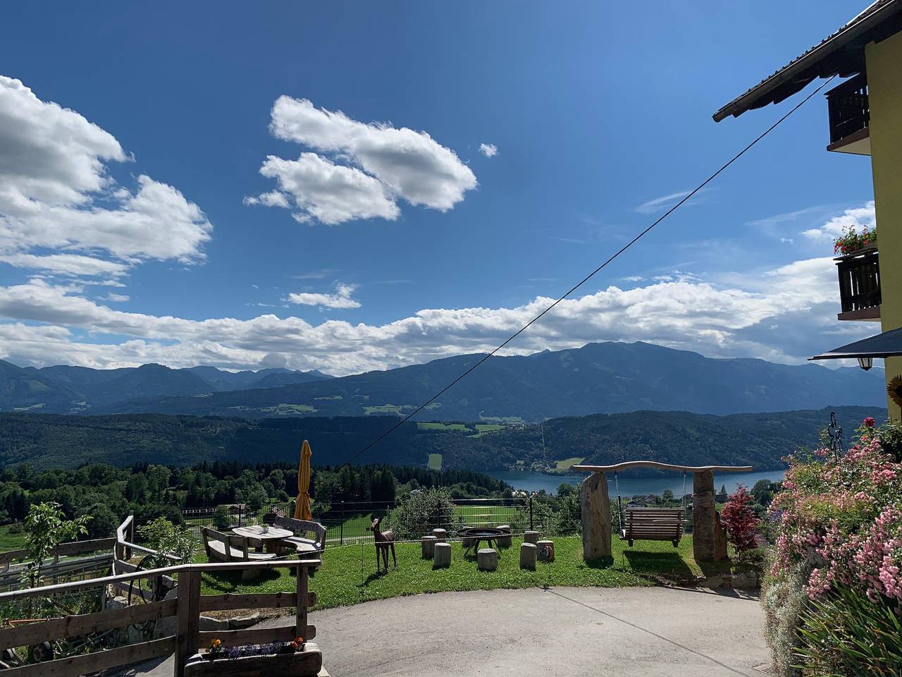 Kornblume in Millstatt, Bezirk Spittal an der Drau