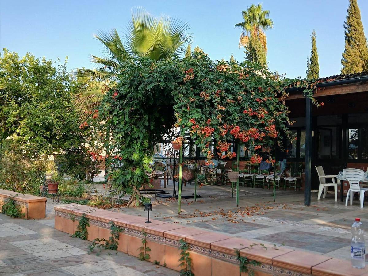 Spacious Garden Villa, private pool, huge grounds with orange trees in Dos Hermanas, Provincia de Sevilla