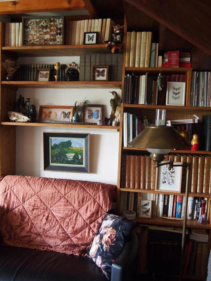 La Sorcière et le Korrigan in Paimpont, Région de Rennes