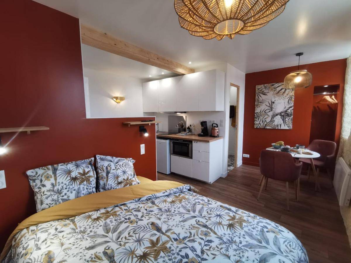 Appartement entier, Les appartements du centre, 3 appartements avec Climatisation, 4 appartements avec climatiseur mobile, refaits à neuf, 50m à pieds des commerces, restaurants, parking gratuit in Salies-de-Béarn, Béarn