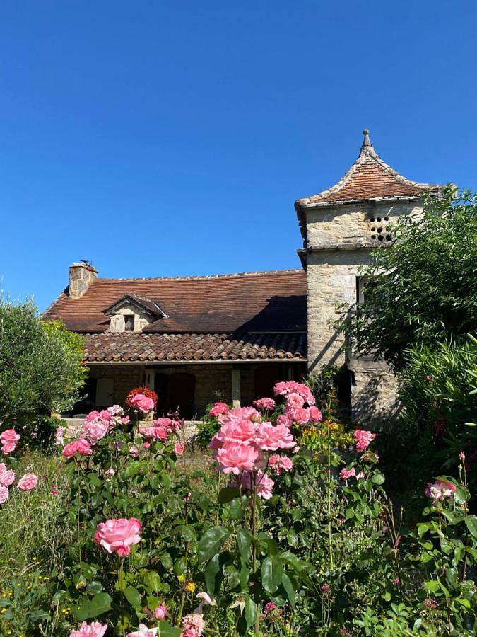 Location de vacances pour 2 personnes, avec piscine ainsi que vue et jardin, animaux acceptés à Caylus - 2
