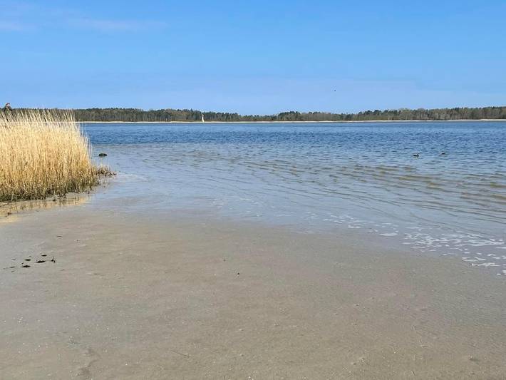 Ferienwohnung für 4 Personen, mit Garten und Terrasse, mit Haustier in Groß Mohrdorf - 3