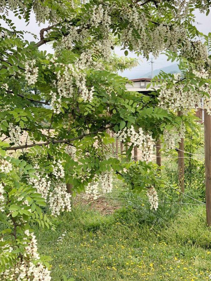 Residenza San Bartolomeo in Foligno, Perugia e dintorni