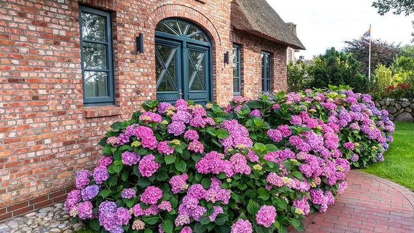 Ferienhaus für 7 Personen, mit Garten und Terrasse in Süderende - 3