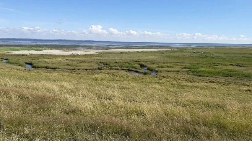 Ferienhaus mit Meerblick für 7 Personen, mit Terrasse auf Rømø - 3