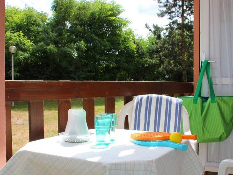 Vvf Villages - La Plaine d'Alsace - Obernai - Appartement 2 personnes - 1 Pièce 2 pers in Obernai, Région de Sélestat-Erstein