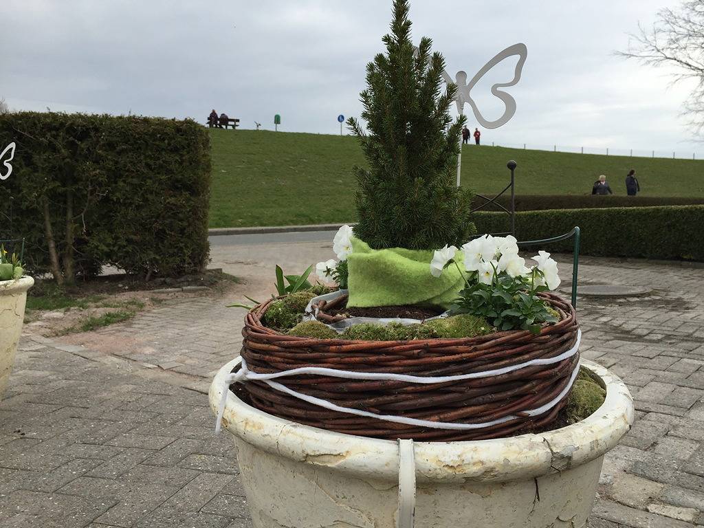 Ganze Ferienwohnung, Deich 21 - Fewo 4 Wellenbrecher - Deichstr. 21a in Horumersiel, Wangerland
