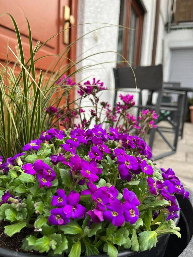 Ferienwohnung für 5 Personen, mit Terrasse und Garten in Rottweil