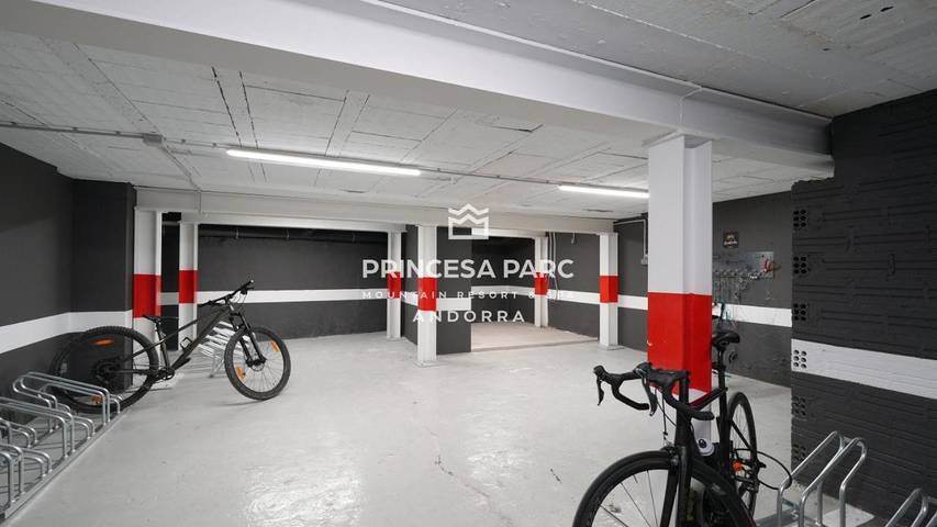 Hôtel pour 4 personnes, avec piscine et jardin, animaux acceptés dans Arinsal - 4