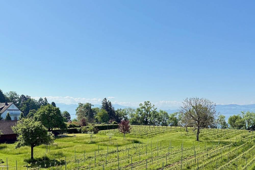 Ganze Wohnung, Ferienapartment Panoramablick - gemütlicher Rückzugsort mit Ausblick in Nonnenhorn, Bayerisch Schwaben