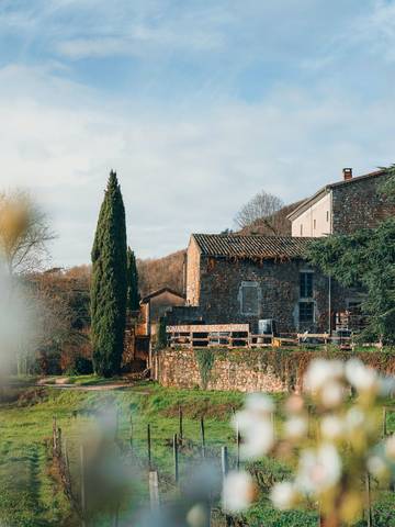 Gîte pour 11 personnes, avec jardin et terrasse, animaux acceptés à Charmes-sur-Rhône
