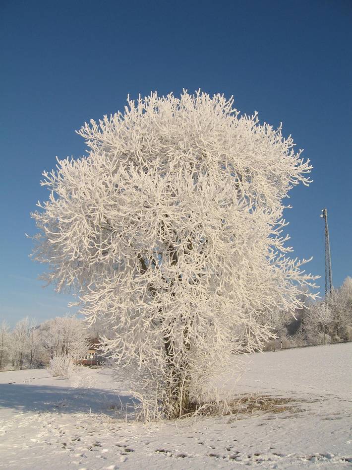 Ferienwohnung für 3 Personen, mit Garten in Hilders - 3