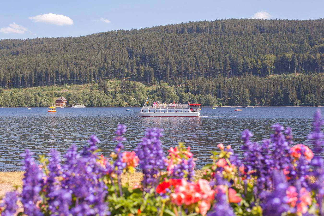 Ganze Ferienwohnung, Drei Tannen - Wohnung 10 - Apartmenthaus, Titisee, Feldberg in Titisee-Neustadt, Südschwarzwald