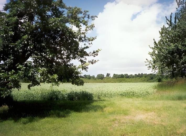 Holiday Home 'Le Ecurie' with Shared Pool, Private Terrace and Wi-Fi in Allonnes, Loire Valley