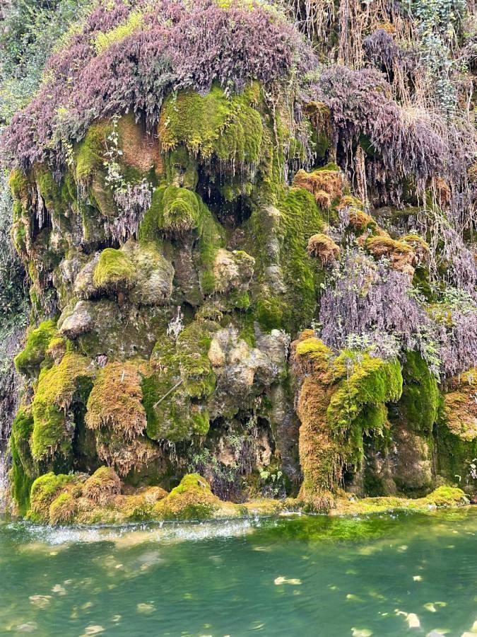 Location de vacances pour 2 personnes, avec jardin à Boisset-et-Gaujac - 2