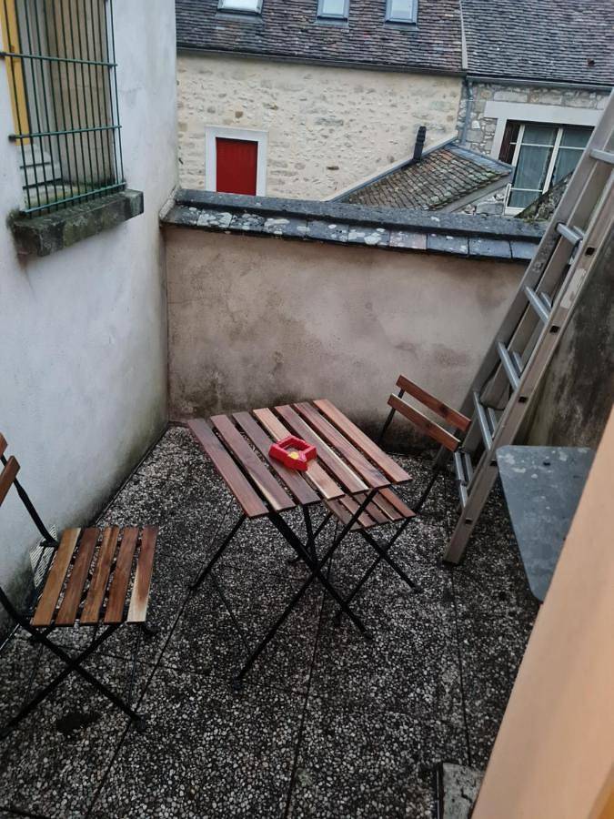 Gîte pour 3 personnes, avec vue et terrasse, animaux acceptés à Moret-sur-Loing - 4