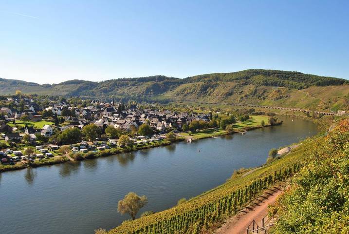 Ferienwohnung für 4 Personen, mit Terrasse in Pünderich - 4