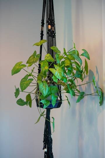 Guesthouse for 4 People in Waikato, Photo 1