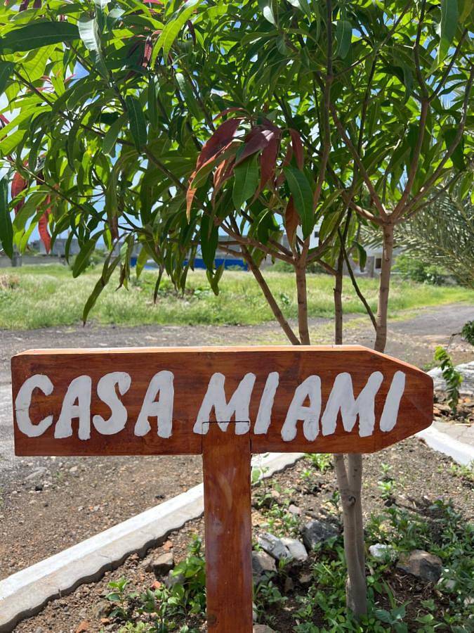 Location de vacances pour 2 personnes, avec terrasse ainsi que piscine et vue, animaux acceptés dans Tarrafal - 4