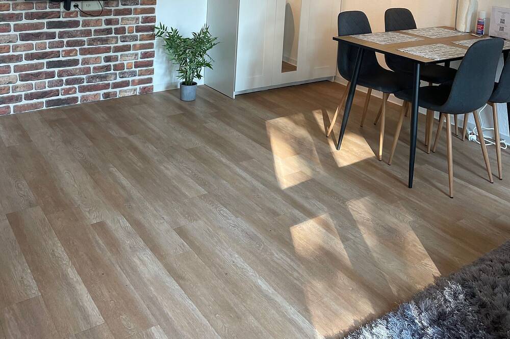 Ganze Wohnung, Gemütliches Studio mit Blick auf den Kurgarten in Bad Rothenfelde, Osnabrücker Land