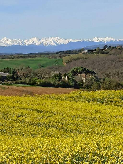 Ferme Ariégeoise, Gîte des Pyrénées in Unzent, Ariège