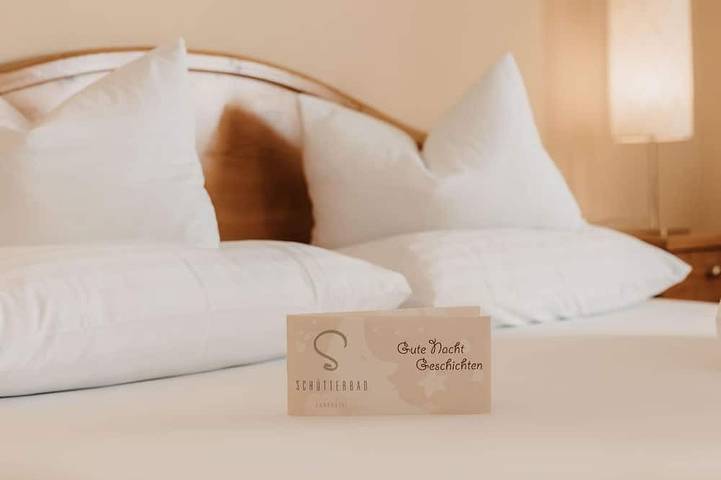 Doppelzimmer mit Dusche, Wc - Naturhotel Schütterbad in Unken, Pinzgau