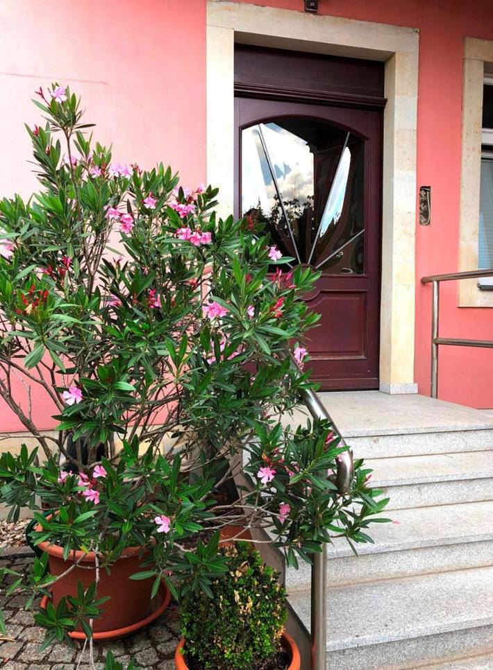 Ferienwohnung für 4 Personen, mit Ausblick und Garten, kinderfreundlich