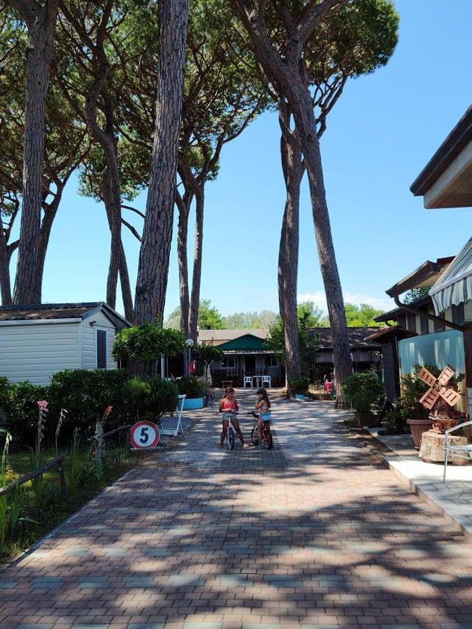 Camping per 3 persone, con giardino e terrazza in Massa-Carrara