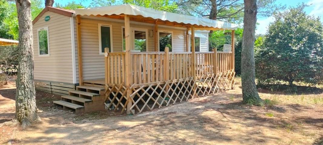 Mobil home pour 6 personnes à Châteauneuf-de-Gadagne - 4