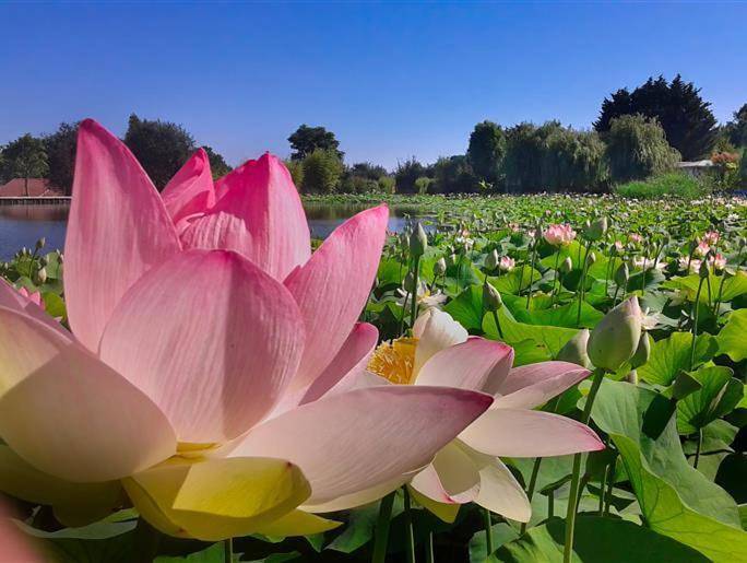 Camping pour 5 personnes, avec piscine ainsi que jardin et terrasse