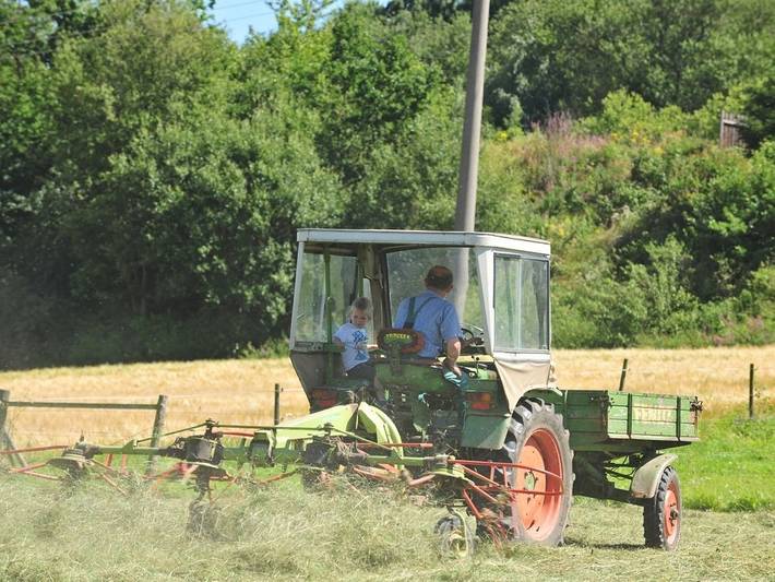 Ganze Ferienwohnung, Ferienhof Zinn - Ferienwohnung Spatz mit 52qm für max. 4 Personen in Lauterbach, Vogelsberg Region