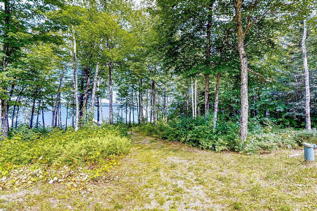 Lakefront cabin on First Roach Pond with dock, lake view & firepit- dog-friendly in Piscataquis County