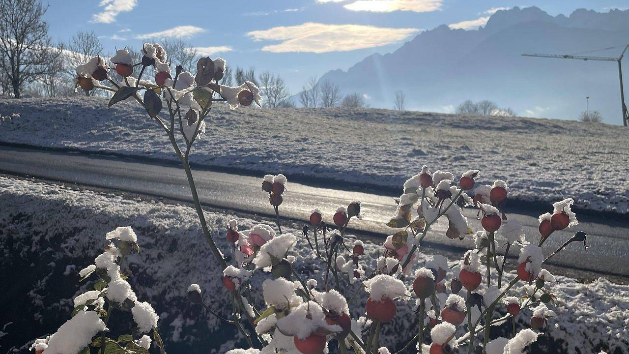 Ganze Ferienwohnung, Ferienwohnung für 4 Personen (80 m²) in Oberlienz in Oberlienz, Osttirol