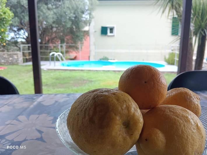 Gîte pour 6 personnes, avec piscine ainsi que vue et jardin, animaux acceptés dans Nervi (Genova) - 4