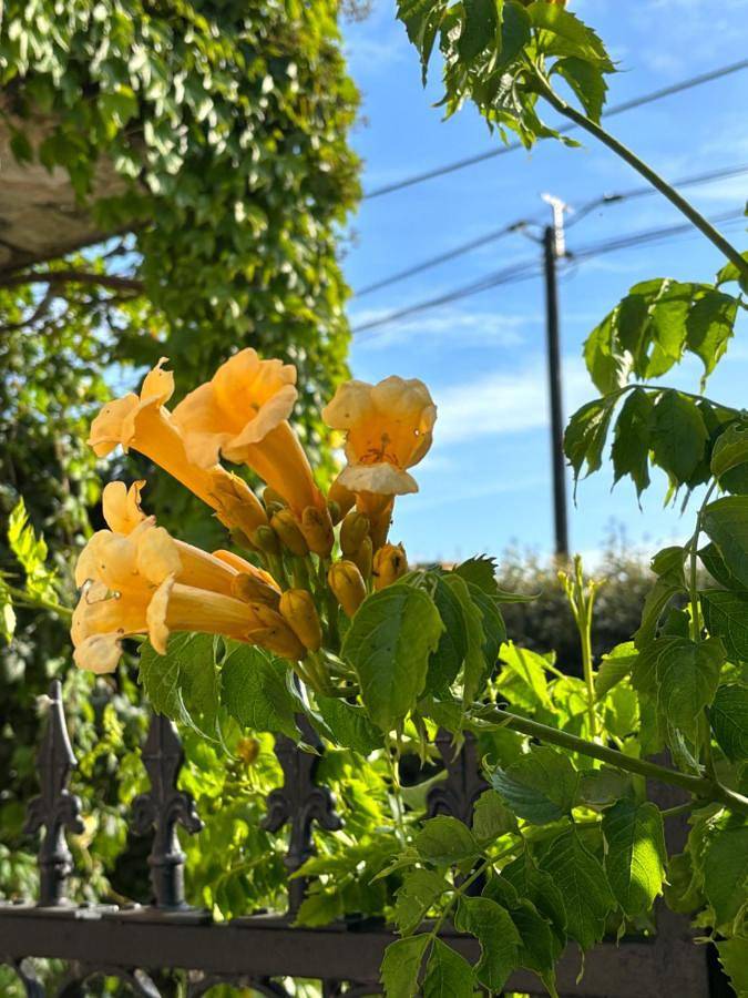 Gîte pour 2 personnes, avec jardin à Hames-Boucres - 2