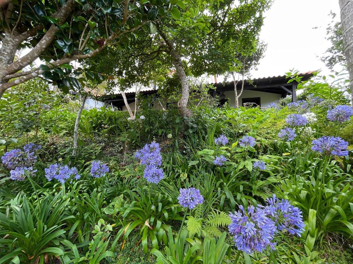 Villa in Santana, Madeira