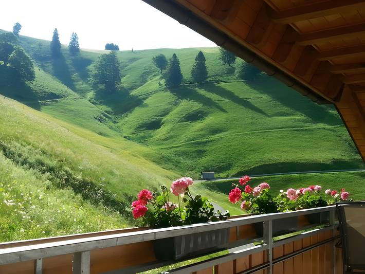Apartamento entero, Apartamento de vacaciones para 2 personas con jardín in Obermünstertal, Münstertal