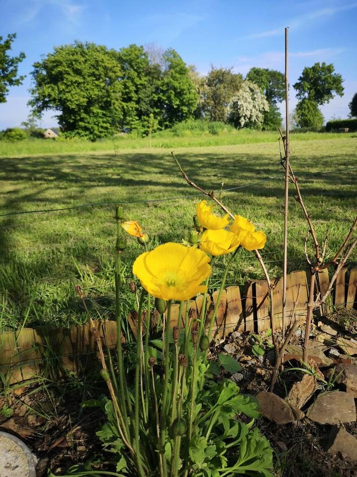 Chambre d’hôte pour 2 personnes, avec jardin, animaux acceptés en Cotes-d'Armor - 3